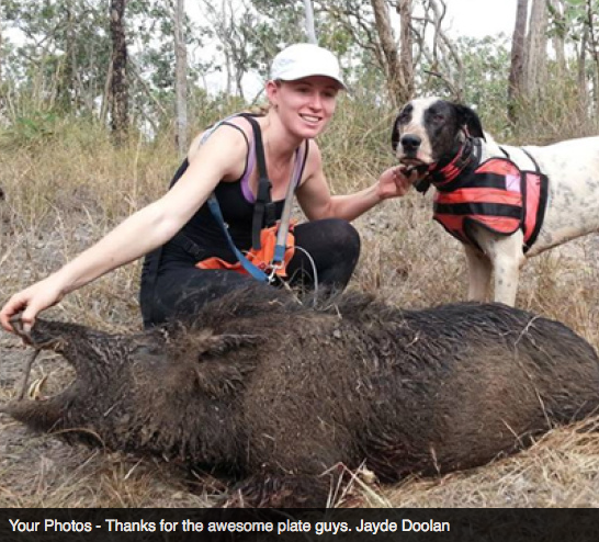 Screen Shot 2013-10-02 at 1.34.17 PM